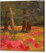 Poppy Meadow Canvas Print