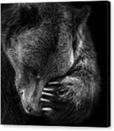 Portrait Of Bear In Black And White #2 Canvas Print