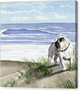 Pug At The Beach  #2 Canvas Print