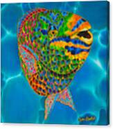Queen Parrotfish Canvas Print
