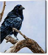 Raven #2 Canvas Print