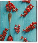 Red Currant Canvas Print