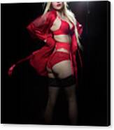 Red Lingerie Canvas Print