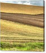 Ripening Wheat Cloudy Sky Two #2 Canvas Print