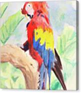 Safari Parrot #2 Canvas Print