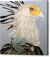 Secretary Bird Canvas Print