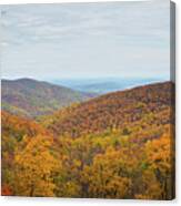 Shenandoah Fall Foliage  #1 Canvas Print