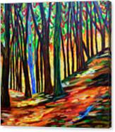 Sherman Falls Forest #1 Canvas Print