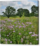 Silver Creek Conservation Area #1 Canvas Print