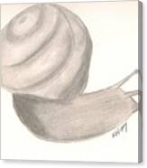 Snail #1 Canvas Print