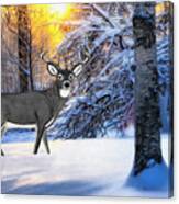 Snow Deer #1 Canvas Print