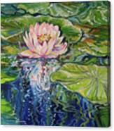 Solitude Waterlily #1 Canvas Print