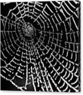Spider Web Jewels #2 Canvas Print