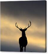 Stag Silhouette  #1 Canvas Print
