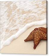 Starfish On Tropical Beach Canvas Print