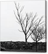 Stone Wall With Trees In Winter #1 Canvas Print