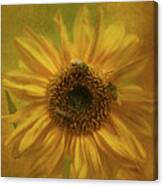 Sunflower #2 Canvas Print