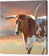 Texas Icon Canvas Print