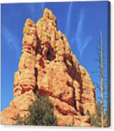 The Face Of Red Canyon #1 Canvas Print