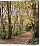 The Woods In Autumn #1 Canvas Print