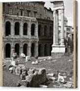 Theatre Of Marcellus Black And White Canvas Print