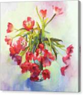 Tulip Fling Canvas Print