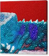 Turquoise Chameleon On Red #1 Canvas Print
