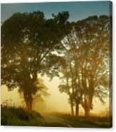 Twilight Guardians. Misty Roads Of Scotland Canvas Print