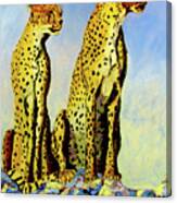 Two Cheetahs #2 Canvas Print