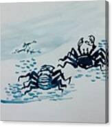Two Crab #1 Canvas Print