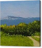 View From The Rim #1 Canvas Print