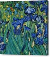 Vincent Van Gogh Iris Detail #1 Canvas Print