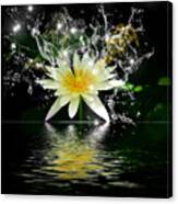 Water Lily #1 Canvas Print