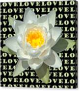 Water Lily Love Canvas Print