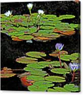 Waterlilies 6 Canvas Print