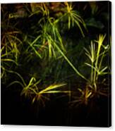 Weeds #1 Canvas Print