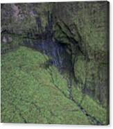 Weeping Wall Kauai #2 Canvas Print