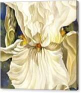 White Iris With Blue #2 Canvas Print