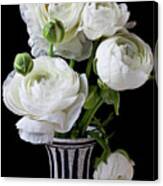 White Ranunculus In Black And White Vase #2 Canvas Print