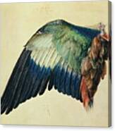 Wing Of A Blue Roller Canvas Print