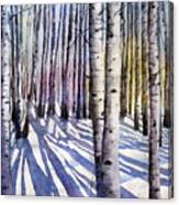 Winter Shadows #1 Canvas Print