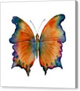 1 Wizard Butterfly Canvas Print