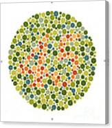 Ishihara Color Blindness Test #10 Canvas Print