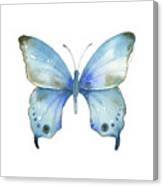 #109 Blue Diana Butterfly #109 Canvas Print