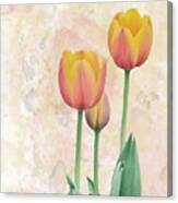 10915 Tip Toe Thru The Tulips Canvas Print