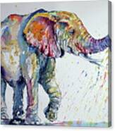 Colorful Elephant #11 Canvas Print