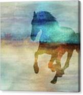 11008 Horse Canvas Print