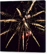 A Shining Colorful Firework #12 Canvas Print