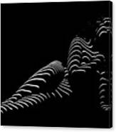 1370-tnd Zebra Woman Striped Woman Black And White Abstract Photo By Chris Maher Canvas Print