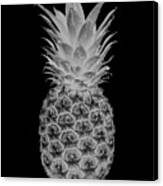 14b Artistic Glowing Pineapple Digital Art Greyscale Canvas Print
